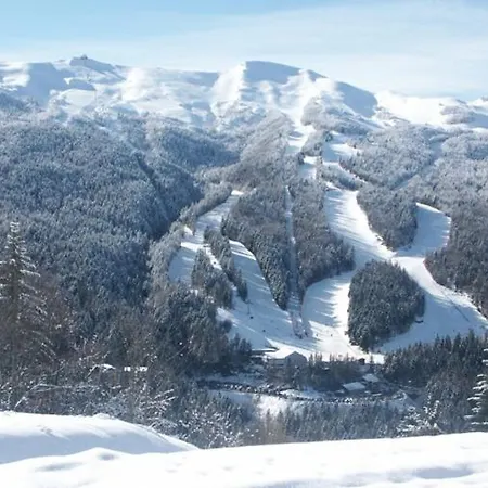 Проживание в семье Lola In Montagna